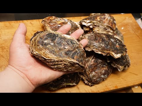 岩牡蠣の白ワイン蒸し焼き-How to make Teppan-grilled oysters (Crassostrea nippona)-