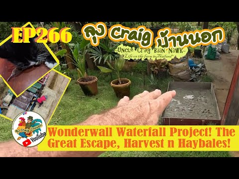 EP266 Wonderwall Waterfall Project! The Great Escape, Harvest n Haybales!