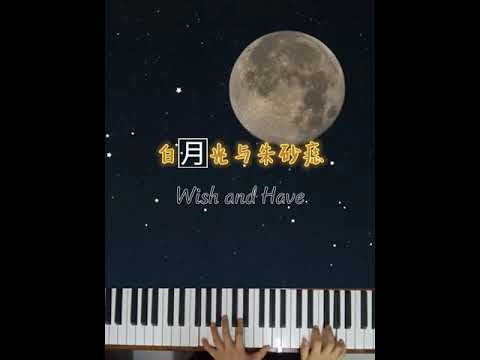 Wish and Have~Easy Piano 🎹白月光与朱砂痣-by 大籽🌜简易钢琴