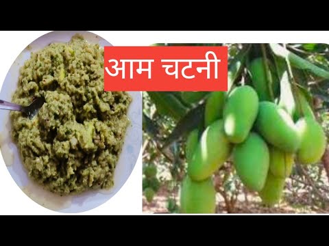 गर्मी की सबसे अच्छी सब्जी आम्मा चटनी l आम चटनी रेसिपी l AAM chatni recipe l कैरी चटनी रेसिपी