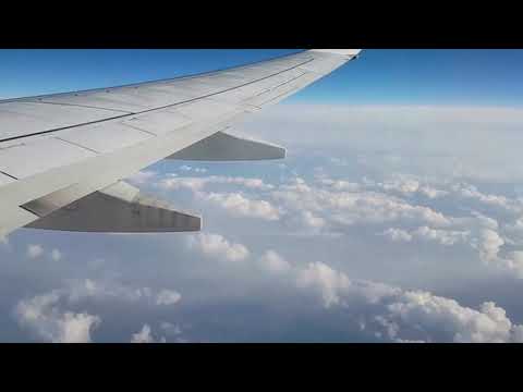 Airplane Wing | Copyright Free Video Footage