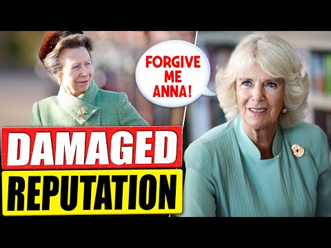 The Real Reason Princess Anne Can’t FORGIVE Camilla for the Royal Drama