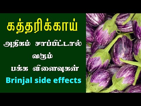 கத்தரிக்காய் பக்கவிளைவுகள் | Side effects of eating brinjal l side effects of eggplant in tamil