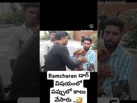 #Ramcharan dog Rhyme..విషయంలో పప్పులో కాలు వేసారు ..Fafam🤣🤣 #shorts #telugu #ytshortsindia