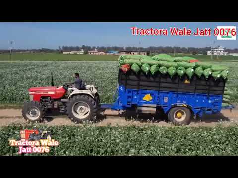 Swaraj 969FE 963Fe 4x4 CRDI #tractorawalejatt0076 #swaraj #4x4 #king #jattlife