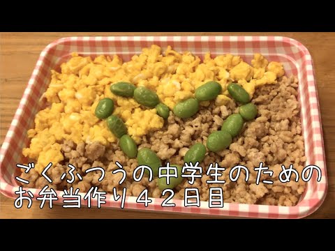 42日目♫ごく普通の中学生のためのお弁当づくり♫そぼろ弁当