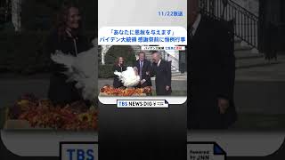 米大統領　恒例の“七面鳥に恩赦”   | TBS NEWS DIG #shorts