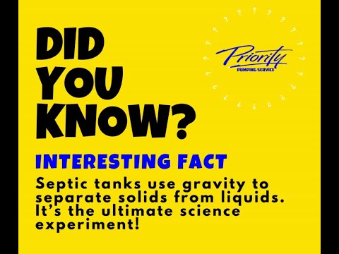 (Bulk 11) Yellow Did You Know Interesting Fact Facebook Post mp4