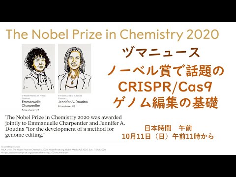 ヅマニュース#5 ノーベル賞で話題のCRISPR/Cas9ゲノム編集の基礎【Stanford現役研究者から見るサイエンスニュース】10.11.2020