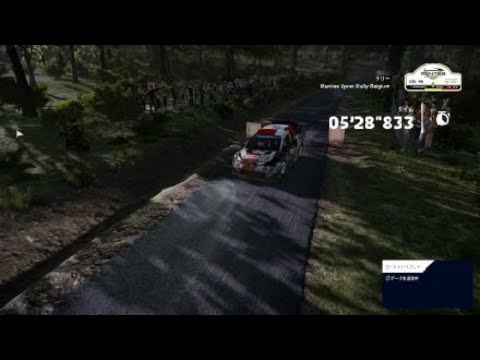 WRC10 FIA世界ラリー選手権_20241120110138