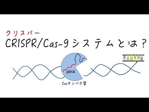 CRISPR-Cas9システムとは？