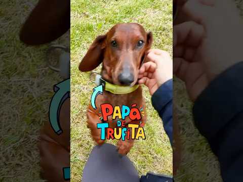 Conozco a mi SALCHI-PAPÁ!🌭💖