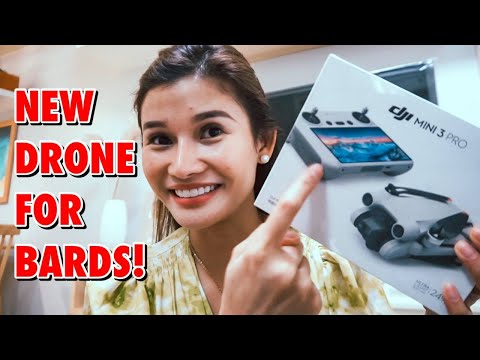 SURPRISED BARDS WITH A NEW DRONE + Thailand Trip Preparation | Jen Barangan