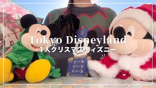 1人クリスマスディズニーランド2024🐭🎄💫朝から夜までクリスマスづくしの1日🎅【Disney Vlog】