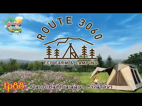 ROUTE3060  กางเต็นท์แคมป์ปิ้ง วังน้ำเขียว  หญ้าเขียว ร่มรื่น ห้องน้ำสะอาด บรรยากาศสวิสเซอร์แลนด์