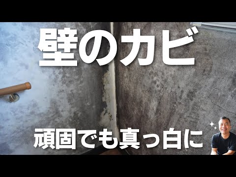 カビ取りの極意