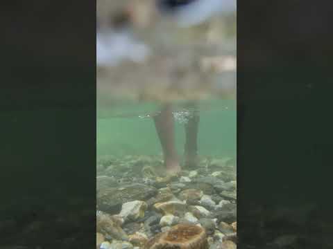 Mini Thailand | Under Water Walking Scene | Under Water Videography by Samsung S21 | Jibhi Valley