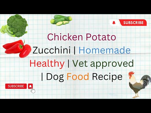 Chicken Potato Zucchini  Homemade Healthy  Vet approved  Dog Food Recipe DIY Dog Food  blogsbyibrar