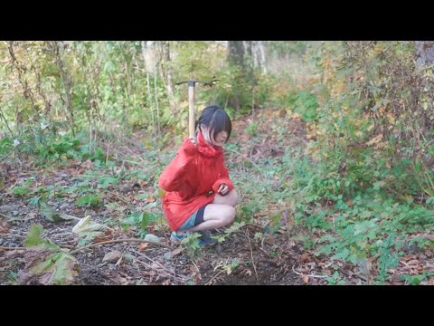 Poor Japanese Girl Country Life: I Planted Trees in Hokkaido