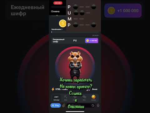 Секретный Шифр Hamster Kombat на 21 июня 24г