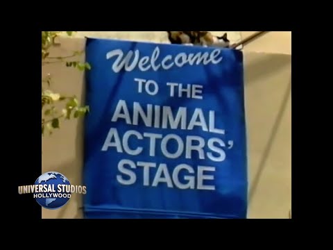 Animal Actors' Stage Universal Studios Hollywood Studio Tour Theme Park Attraction