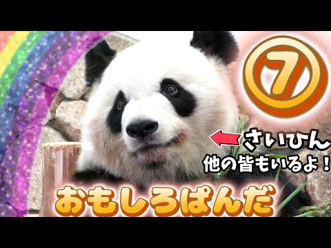 小ネタ集🐾おもしろぱんだ⑦