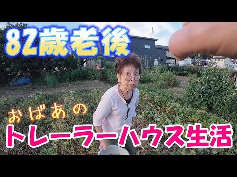 【トレーラーハウス生活】みきじーさん味見、評価はいかに　#345