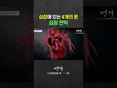 심장 판막에 문제가 생긴다면?