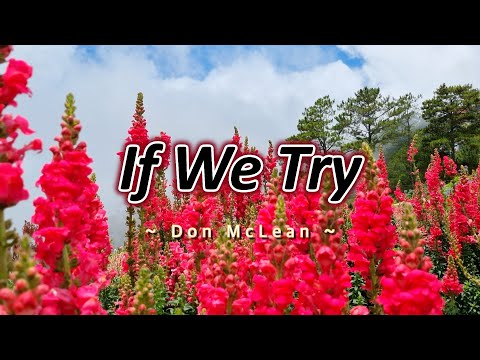 IF WE TRY - (Karaoke Version) - in the style of Don McLean