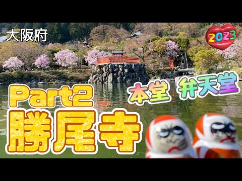 【行った気分】勝尾寺Part2 本堂 多宝塔 弁天堂 Katsuoji-Temple Part2 From Main Hall 西国三十三所 第二十三番