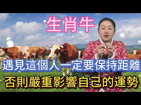 生肖牛！遇見了這個人， 記得一定要保持距離！ 否則影響自己的運勢， 屬牛人大意不得！#風水 #生肖 #分享 #正能量 #佛教 #運勢 #熱門 #命理