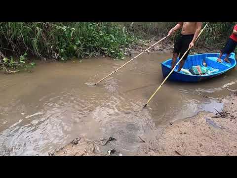 Kích Cá 8Fet Đánh Thuyền Trúng Ổ Cá 1000 Con Giẫy Thùm Thùm | Thú Vui 3 Miền