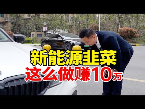 宝马3系车主换4台电车，新能源韭菜反向操作赚10万怎么操作？