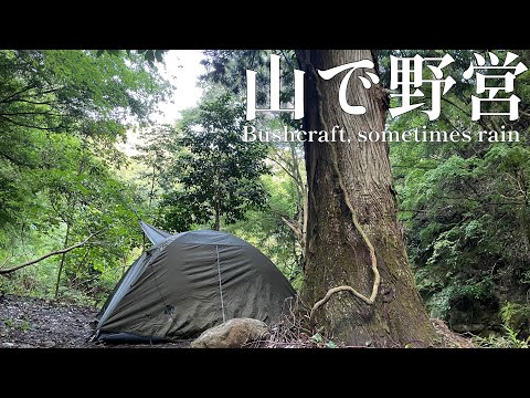 夏雨の降る山で野営ソロキャンプ〜ブッシュクラフト時々雨〜(日本語字幕版)