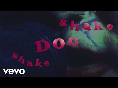 The Cure - Shake Dog Shake (Live At Zenith / Visualiser)