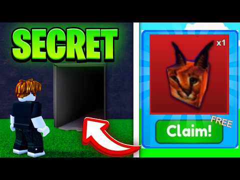 All SECRETS & GLITCHES In Meme Sea! (Roblox)