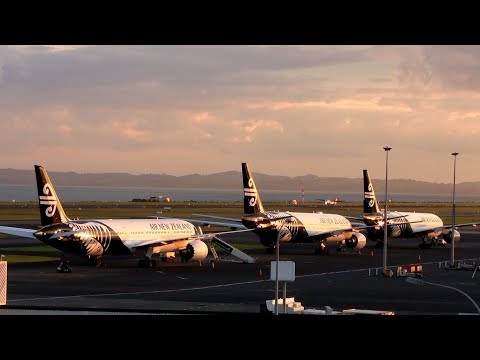 Plane Spotting at Auckland Airport - Compilation ✈