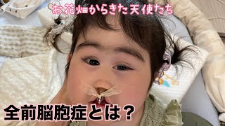 【先輩初対面】全前脳胞症について/天使/SNSの繋がり