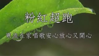 粉紅超跑 林姍 女調卡啦OK伴唱