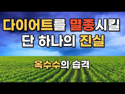 운동해도 살이 안빠지는 이유, 다이어트 잘 하다가 식욕이 폭발하는 이유. 암 치매 뇌졸중의 진짜 원인. 운동하지 않는 다이어트. 간헐적단식.