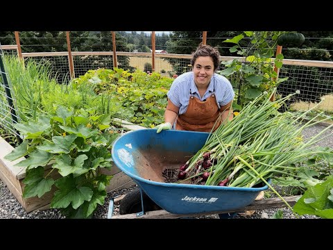 Using the Abundant Harvest to Make an Amazing Dinner!