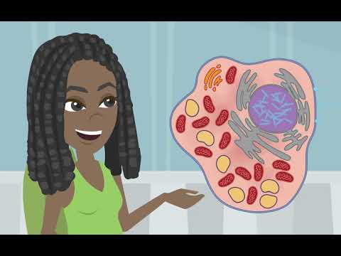 Elementary Science Class 8: Cell -- Structure and Functions