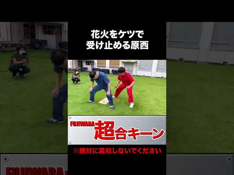 パラシュート花火をお尻で受け止める原西 #fujiwara #リアクション #shorts