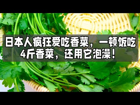 日本人疯狂爱吃香菜，一顿饭吃4斤香菜，还用它泡澡！