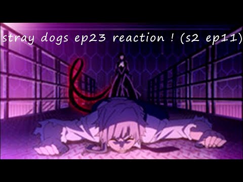 RUN DOWN THE HOLE~stray dogs ep23 reaction ! (s2 ep11)