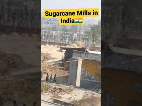 Sugarcane Mills in India🇮🇳 भारत में गुड कैसे बनता है? #shorts