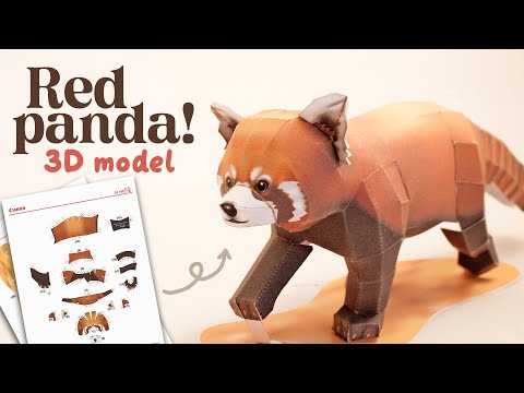 3D Paper Red Panda Model (canon papercraft)