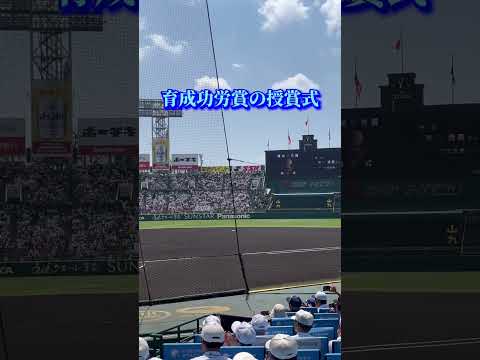 【甲子園】育成功労賞の授賞式