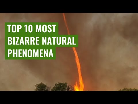 Top 10 Most Bizarre Natural Phenomena