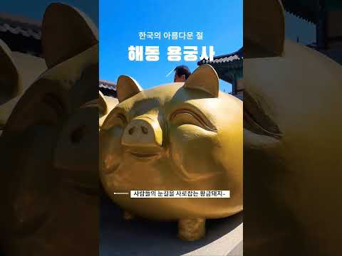 해안가에 있는 부산의 아름다운 사찰